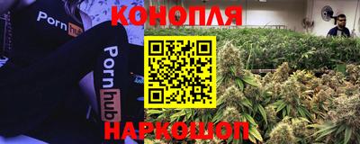 гидра Нарткала