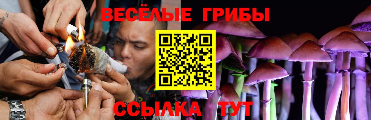 Тихорецк  Галлюциногенные грибы MAGIC MUSHROOMS  Вход с VPN 